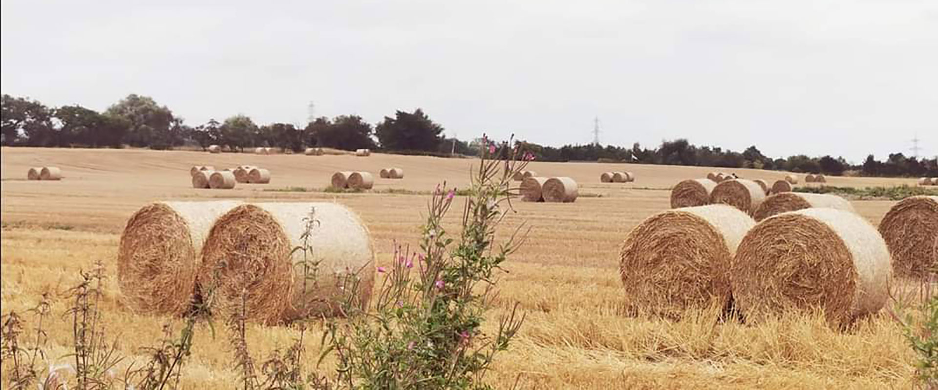 glamping holidays in lancashire